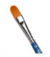 Filbert Brush Tintoretto S846 Amber Synthetic Fiber