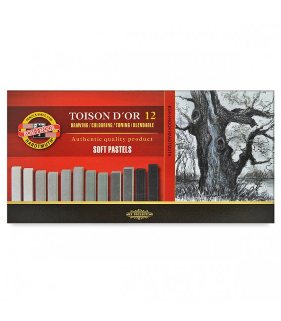 Set of soft pastels Koh-I-Noor Toison d'Or 8592 grey shade 12 colors