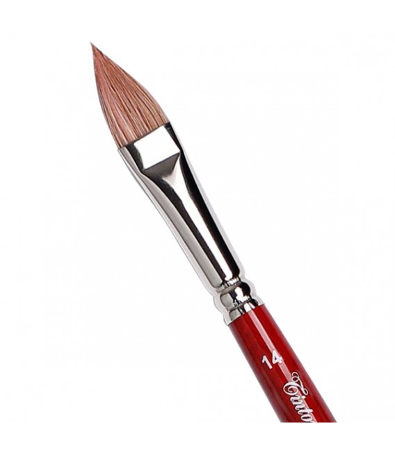Cat’s Tongue Brush Tintoretto S980 Extra Ox Hair Long Handle